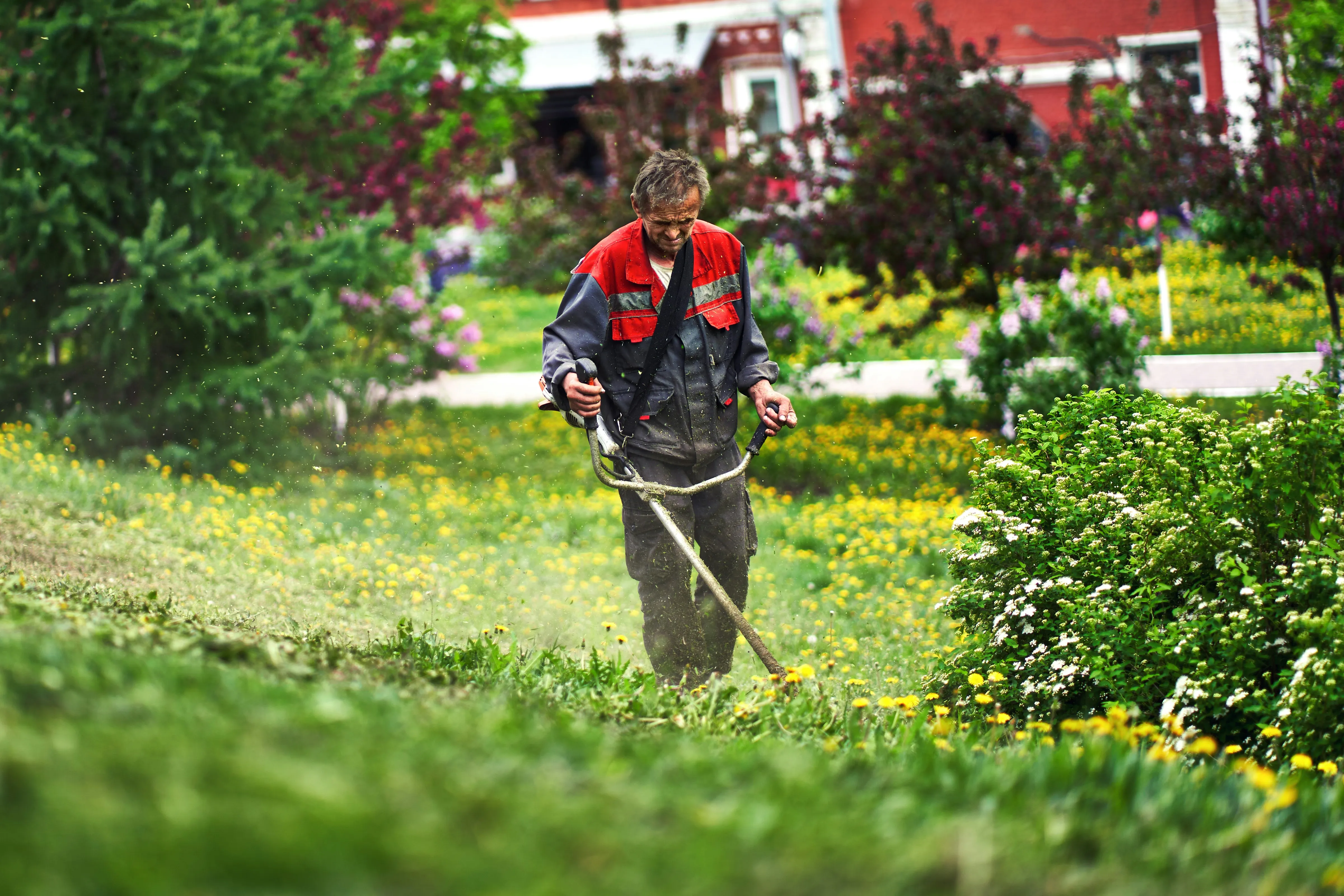 Entretien régulier de jardin